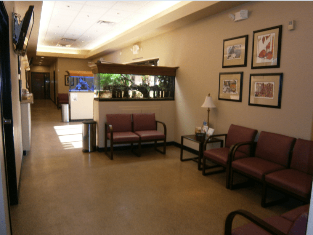 Waiting Area of Vet Hospital — Tempe Veterinary Hospital in Tempe AZ