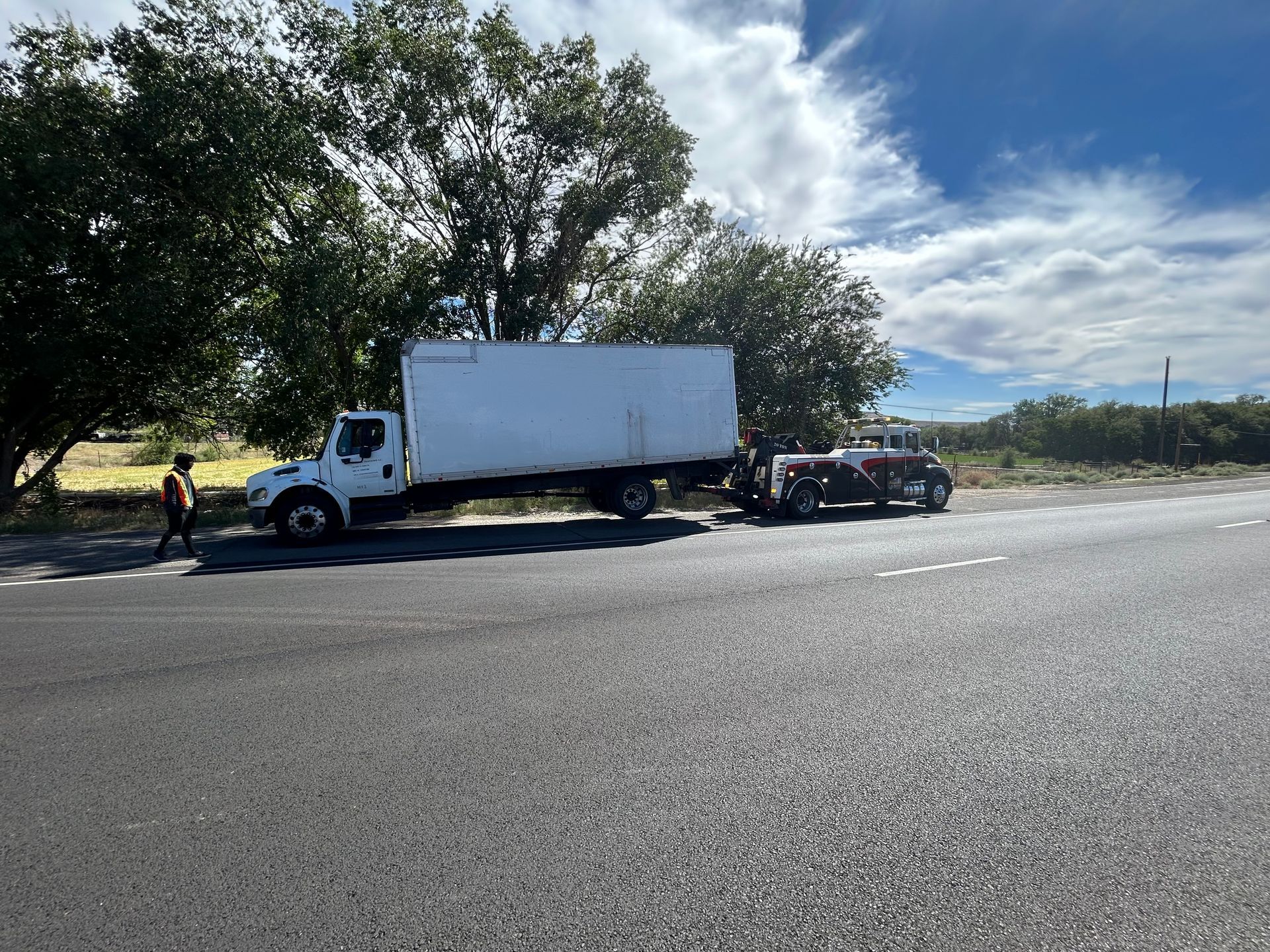 A white truck is parked on the side of the road next to a tree.