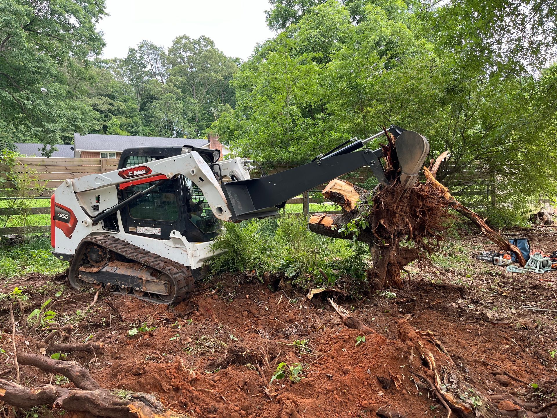 A bobcat is cutting down a tree in a yard.