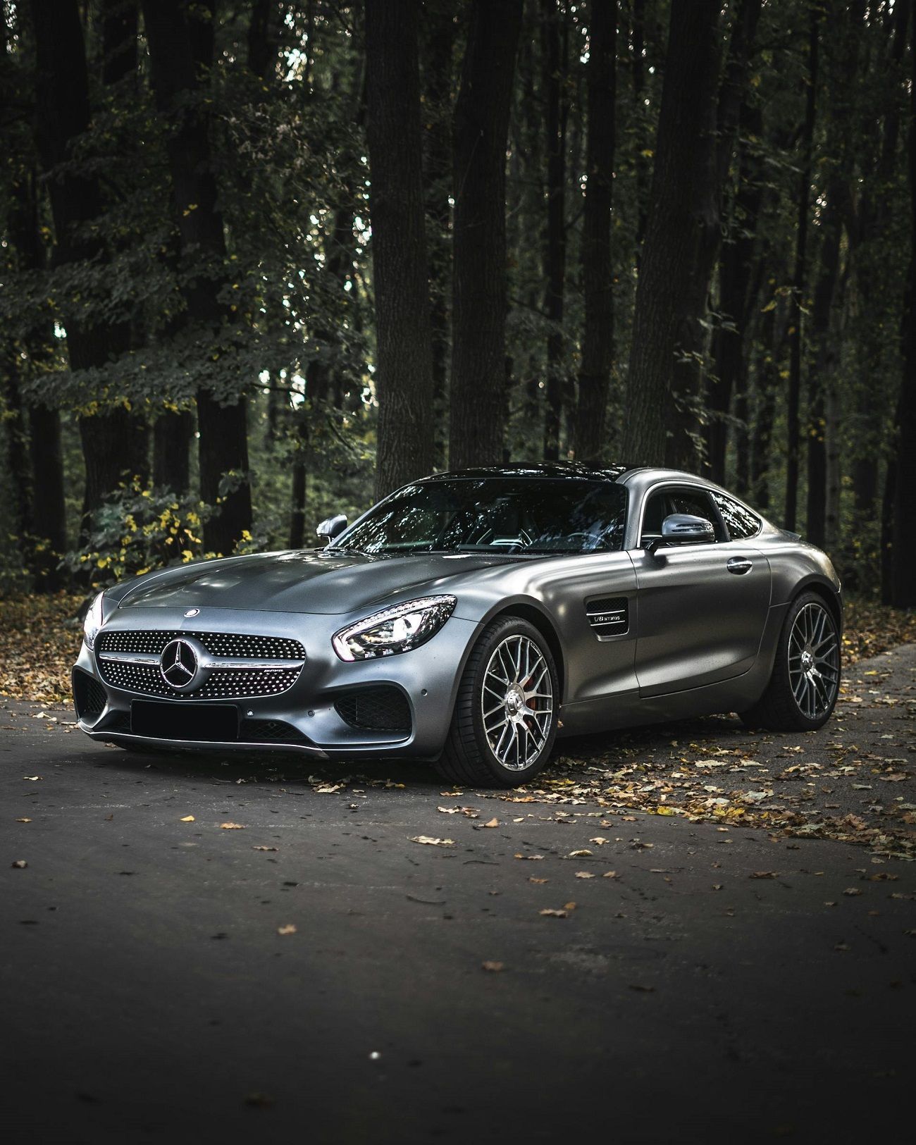 Elite Audio and Window Tinting services