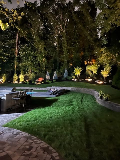 A lush green lawn is lit up at night with trees in the background.