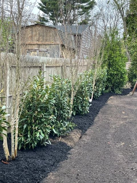 A fence is surrounded by trees and bushes in a yard.