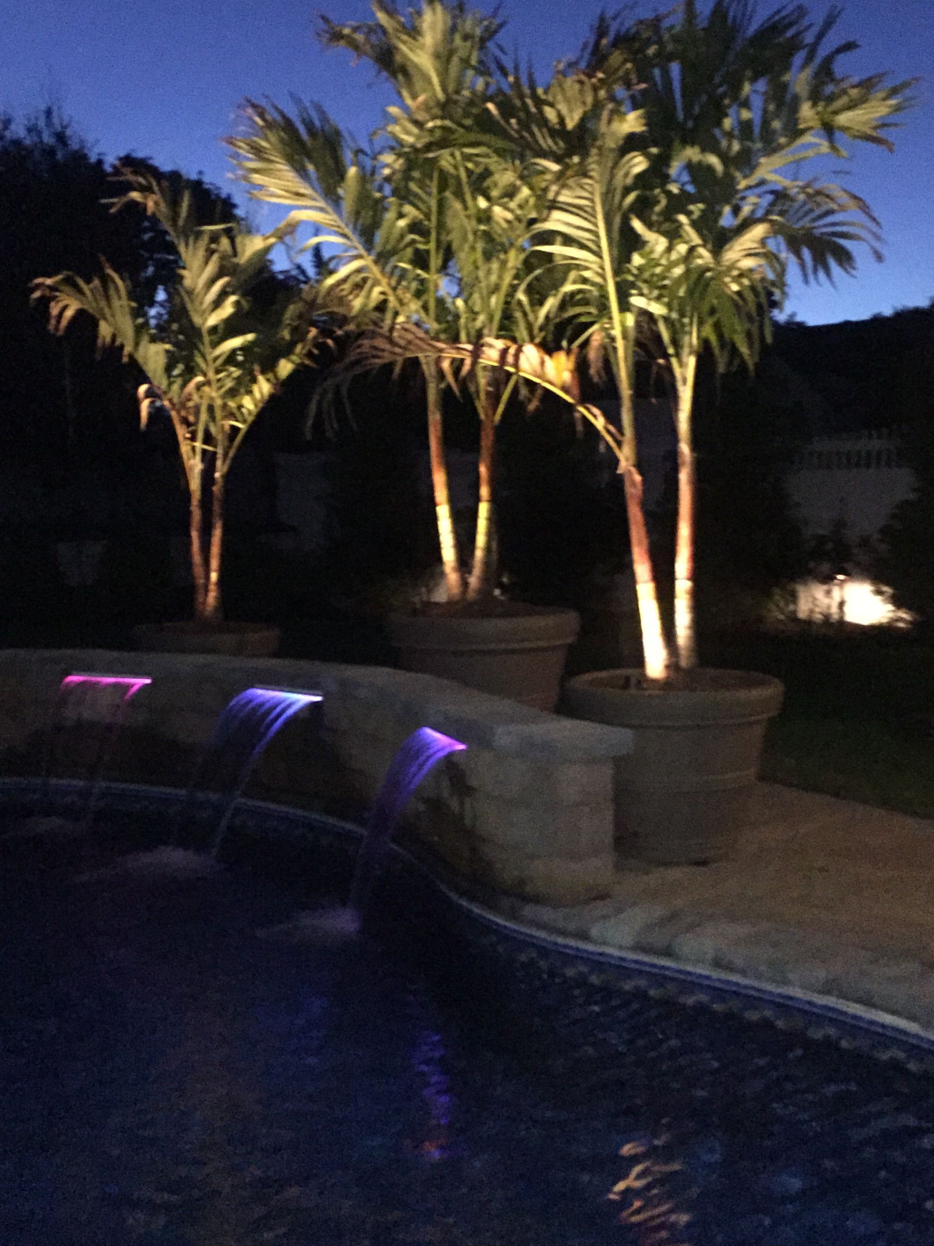 A swimming pool with a waterfall and palm trees lit up at night