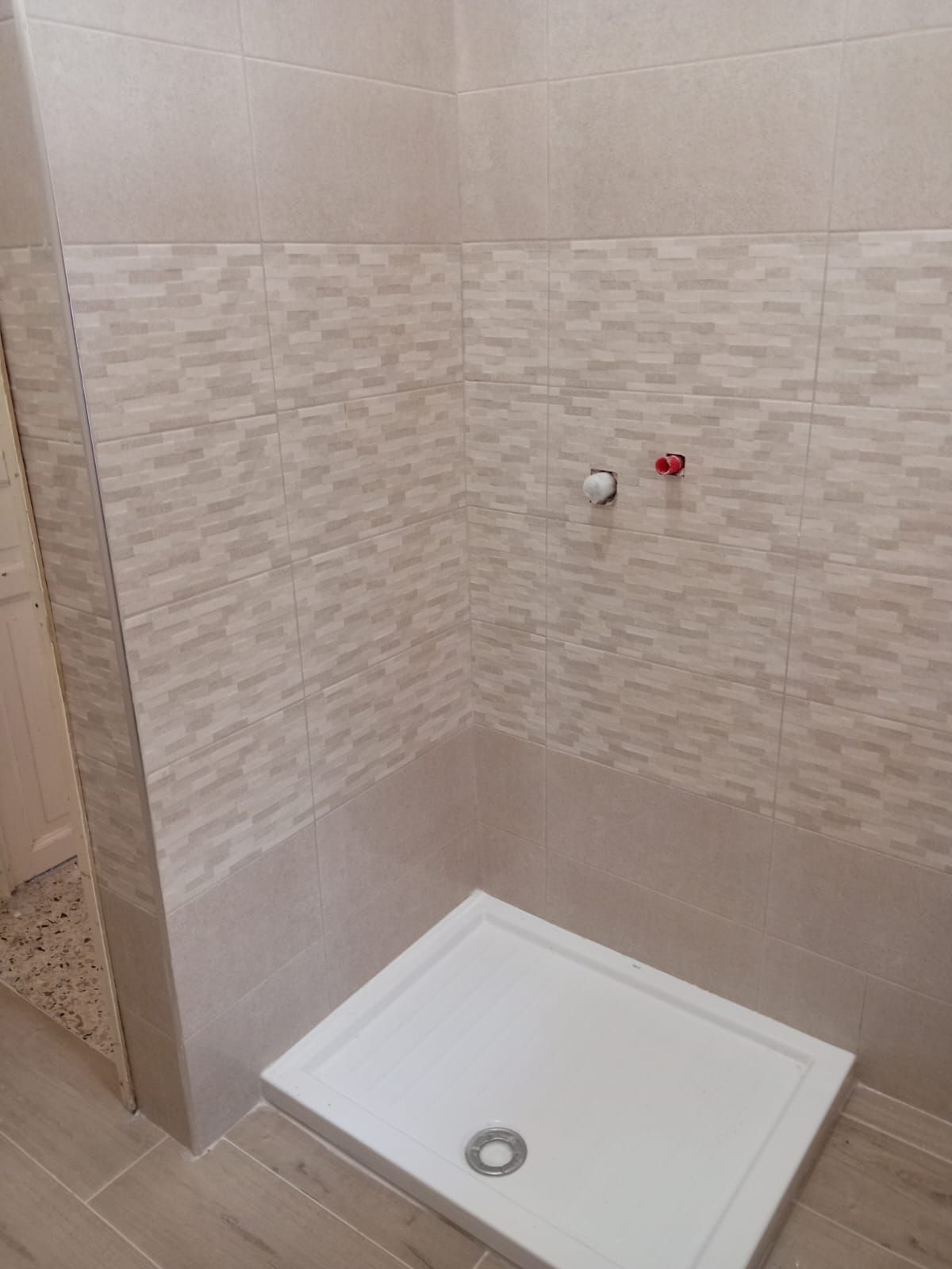 un bagno con doccia e pareti piastrellate .