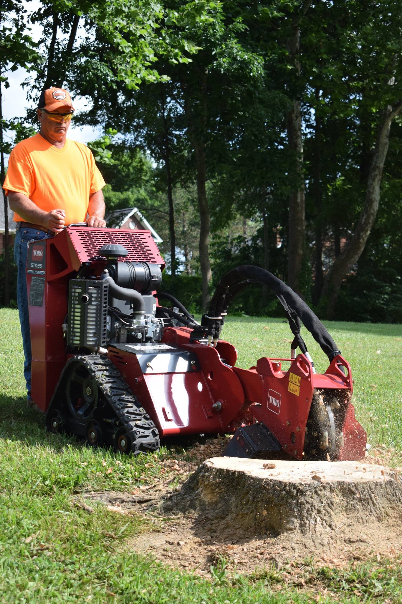 How Long Does It Take For A Stump To (Full Guide)