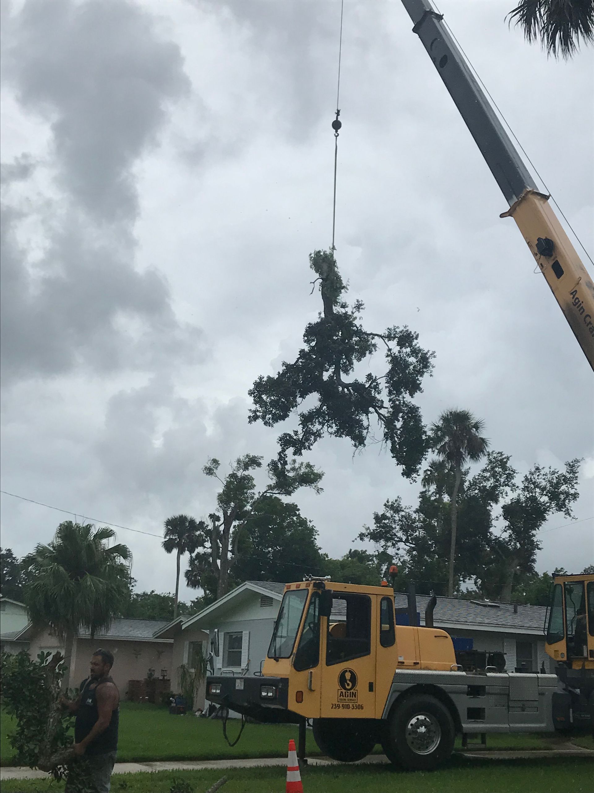 Crane Assisted Limb Removal - Emergency Tree Services