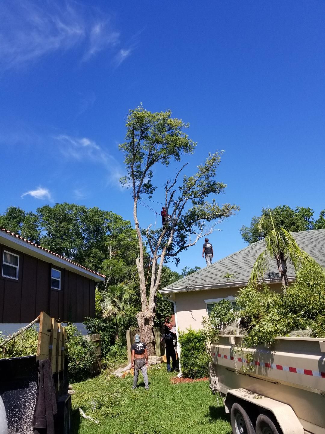 Residential Tree trimming