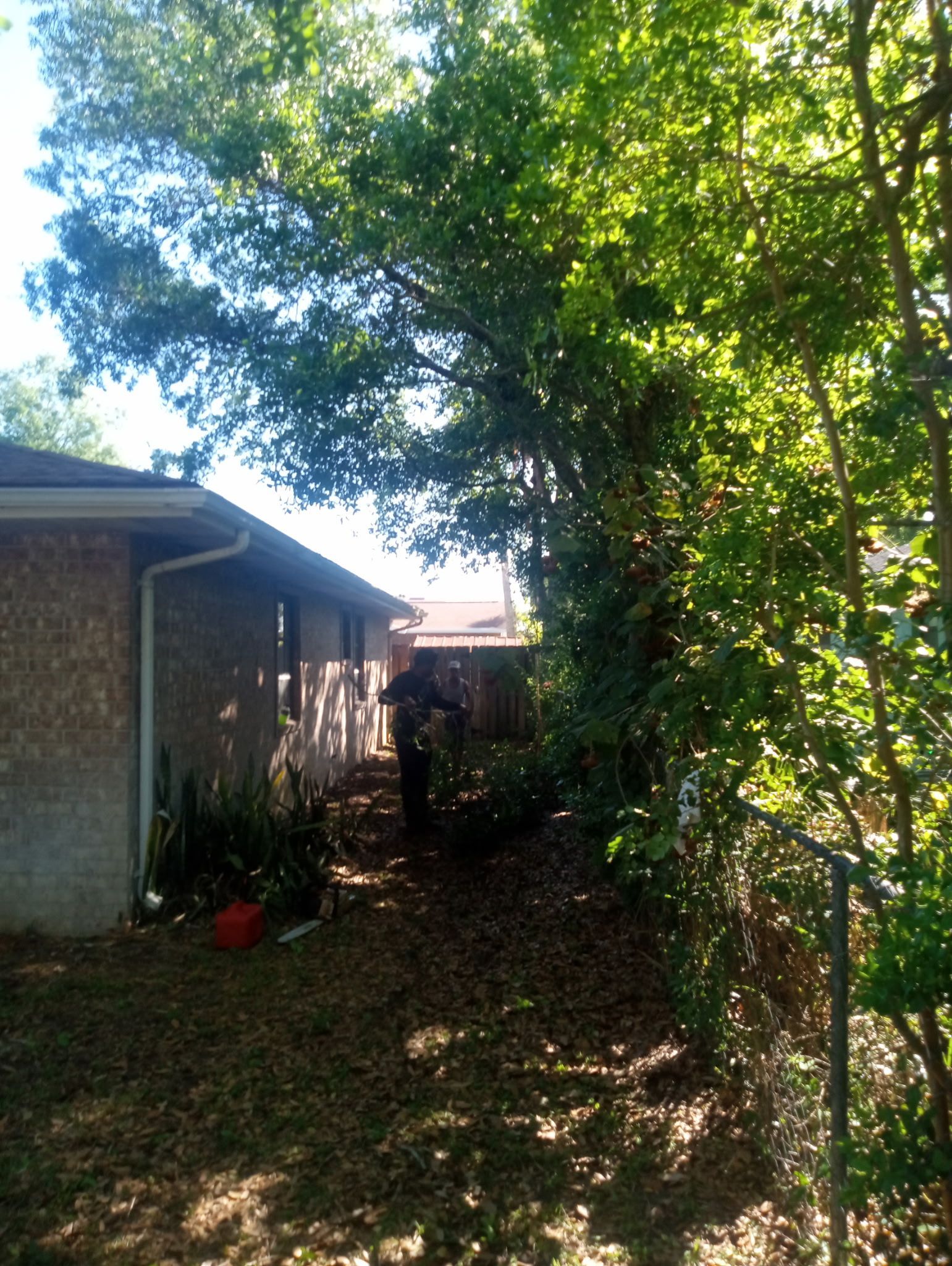 A house with a lot of trees in front of it