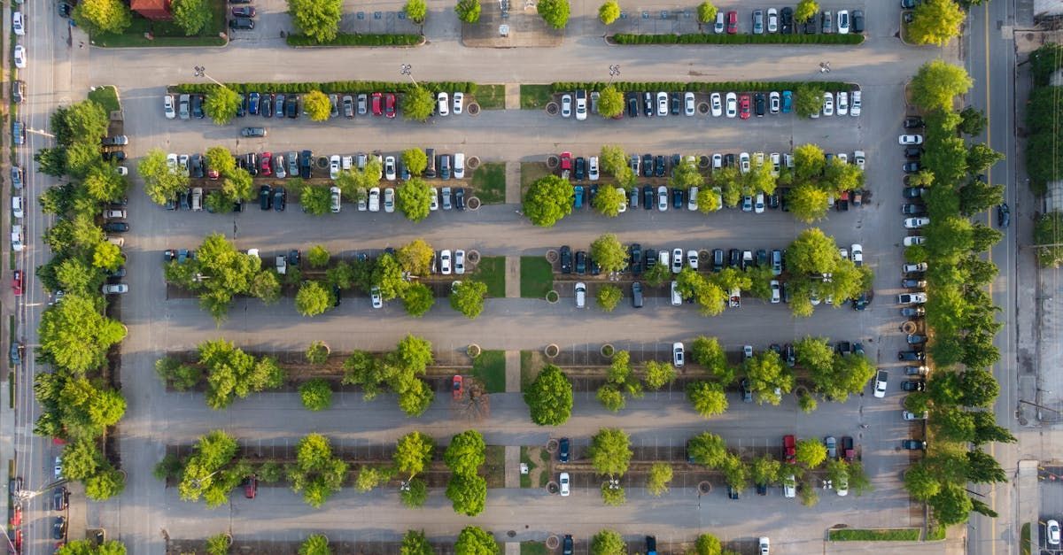 Commercial Parking Lot Tree Trimming