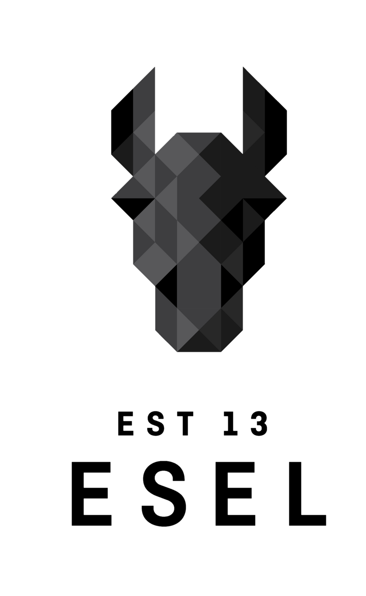 Fahrradladen Fernitz, Fahrrad, Hersteller, Esel