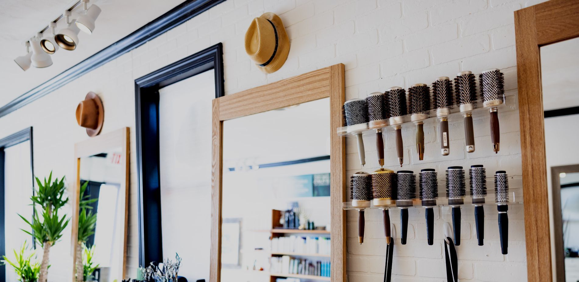 A row of hair brushes are hanging on a wall in a salon.