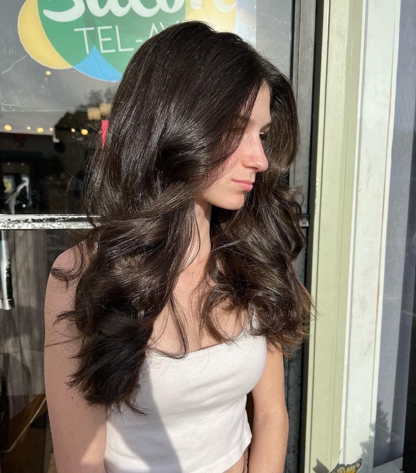 Brunette blow dry and style