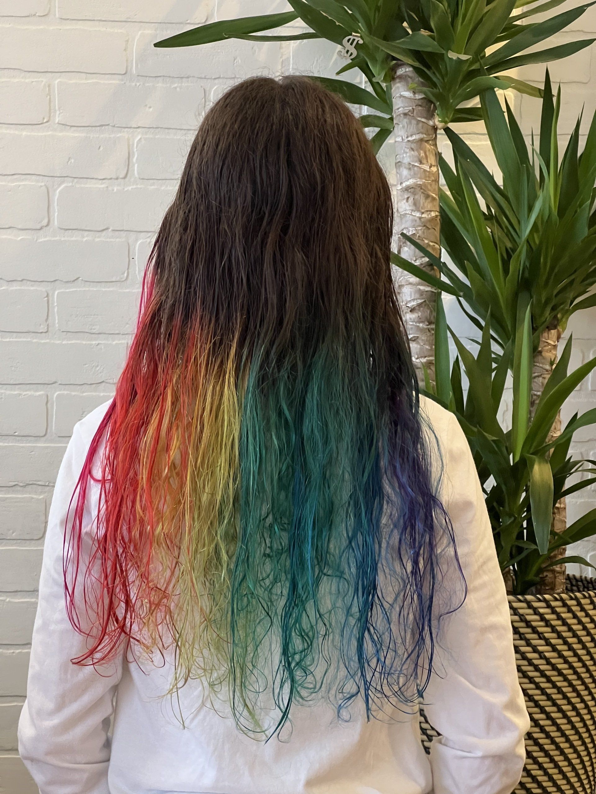 Rainbow hair color