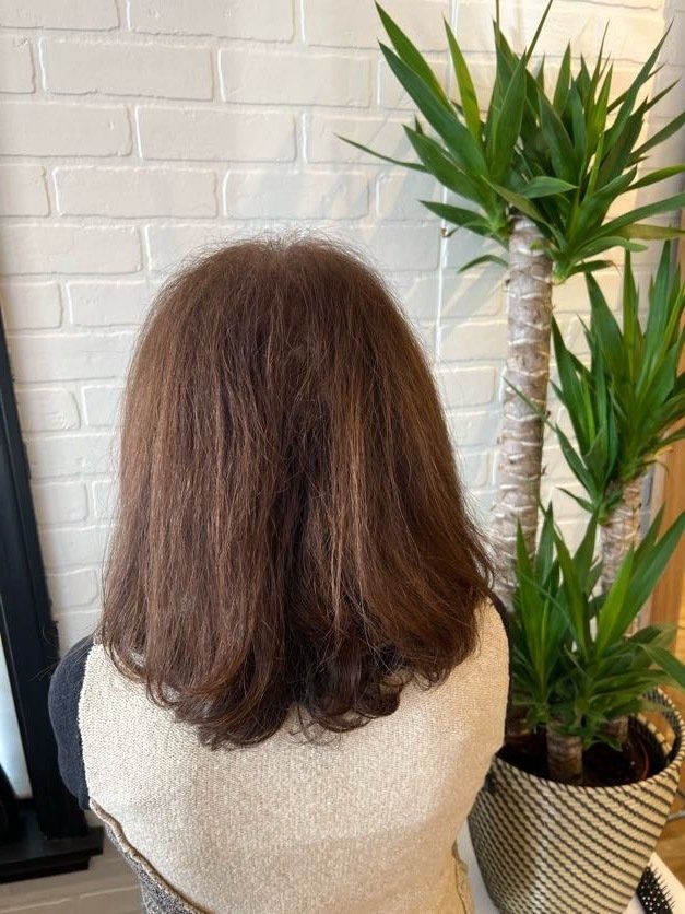 organic hair color and grey coverage