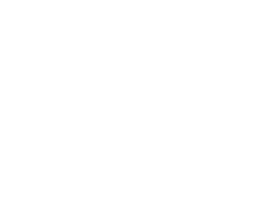 Pinpoint Directional Drilling Inc. Logo in White