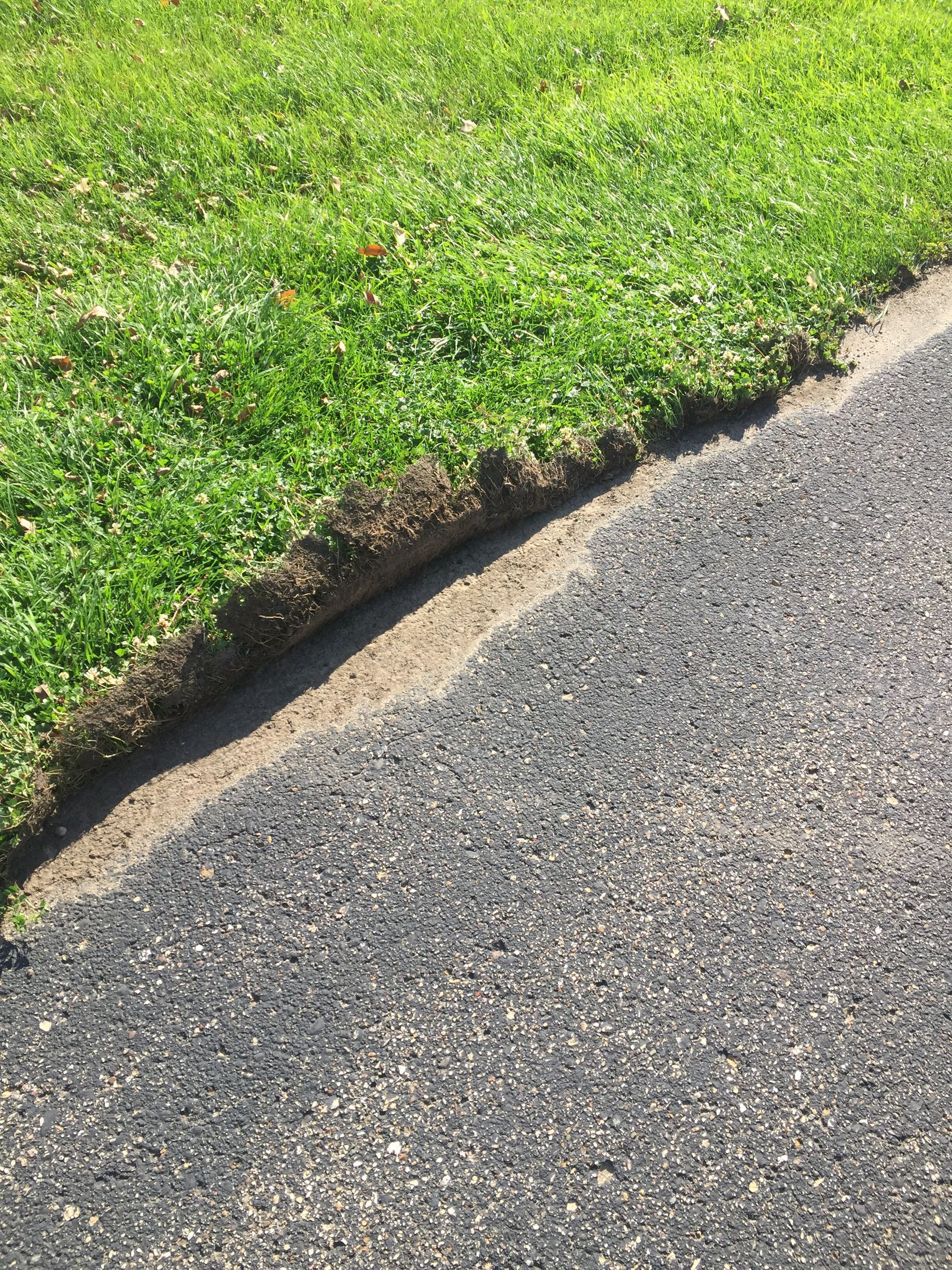 A close up of a lawn next to a road.