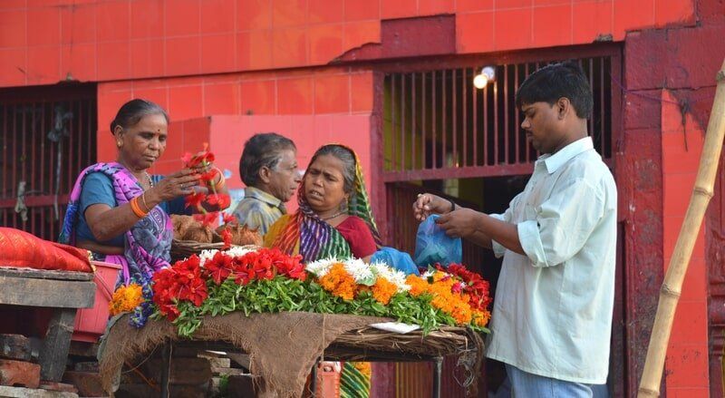 web_viv-s-india_ee7e3e8e43