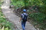 A Man on a Stairs — Travel Agents in Burril Lake