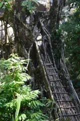 Root bridge — Travel Agents in Burril Lake