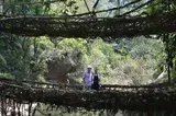 Two People on Bridge — Travel Agents in Burril Lake