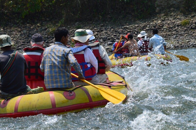 web_viv-s-india_352d9bbea2