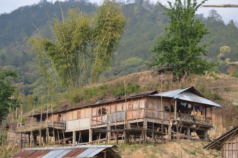 web_viv-s-india_507d224900