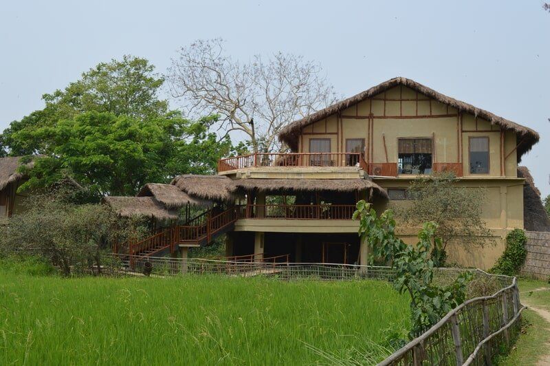 web_viv-s-india_5922f203ff