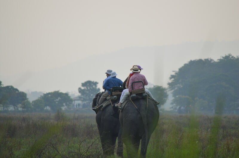 web_viv-s-india_a450157842