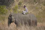 A Mahout with his elephant