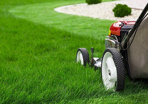 Lawn Maintenance — Iowa City, IA — Happy Valley Services LLC