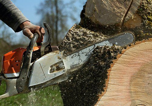 Tree Removal — Iowa City, IA — Happy Valley Services LLC