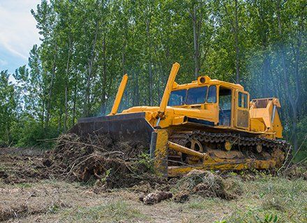 Landscape Clearing — Iowa City, IA — Happy Valley Services LLC