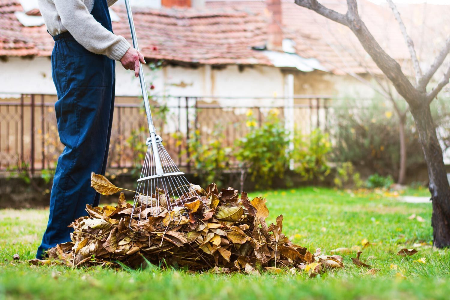 Person raking autumn leaves into a pile in a yard with a house in the background
