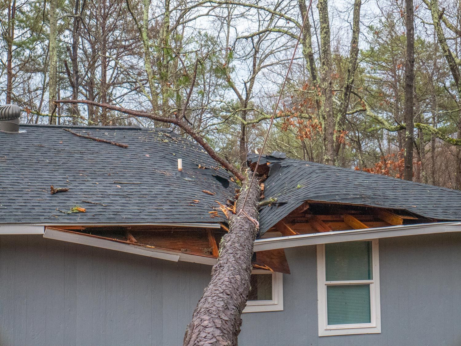 Large tree trunk fallen onto a house roof, damaging the shingles and eaves
