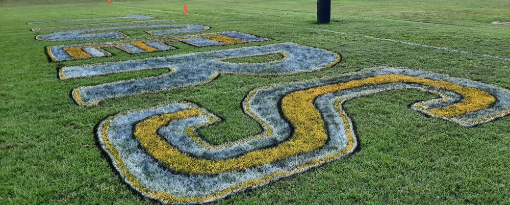 a maze is painted on the grass of a football field .