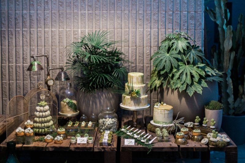 A dessert table with cakes , cupcakes , and plants on it.