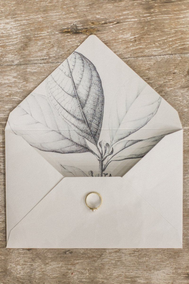 An envelope with a drawing of a leaf on it