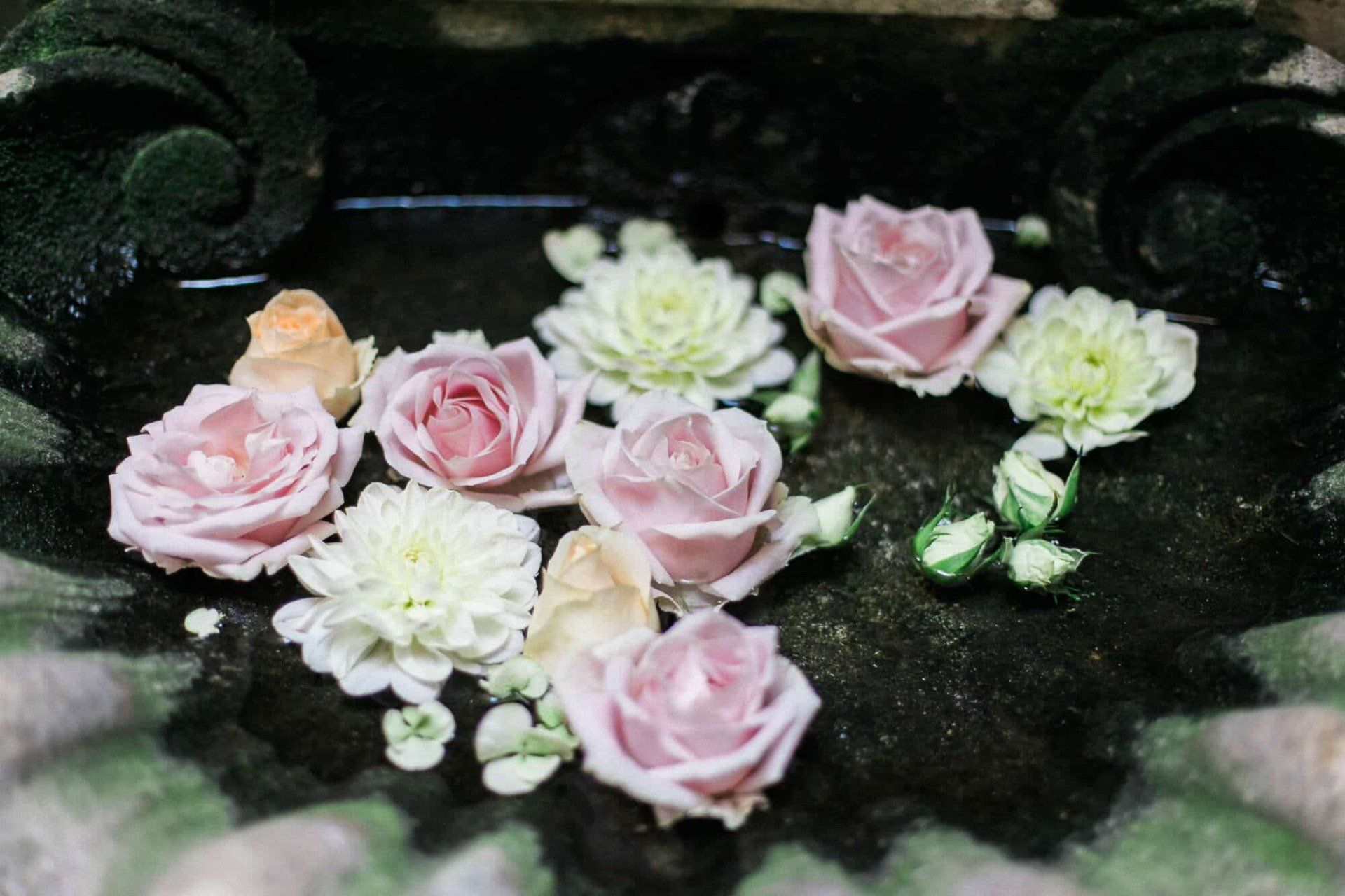 A bunch of flowers are floating in a pool of water.