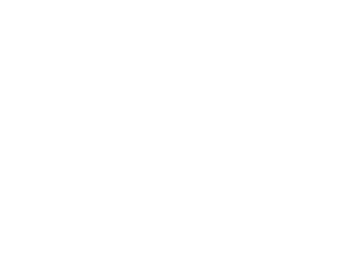 Stalnaker Law logo