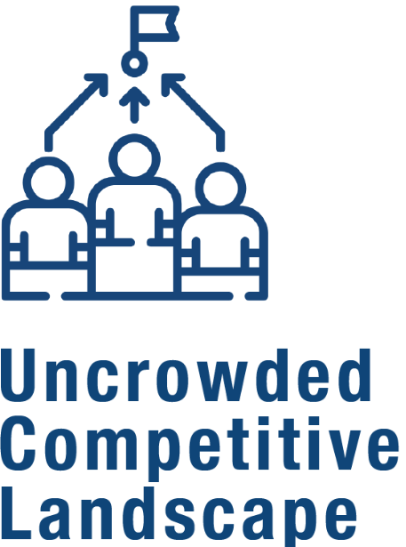 Uncrowded Competitive Landscape icon