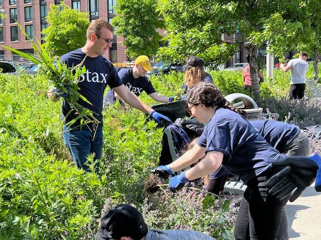 Staxers from the New York office gardening at Hunters Point Park.