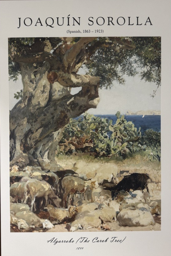 Carob Tree Painting by Joaquin Sorolla