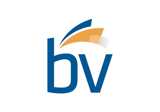 BV Investment Partners logo