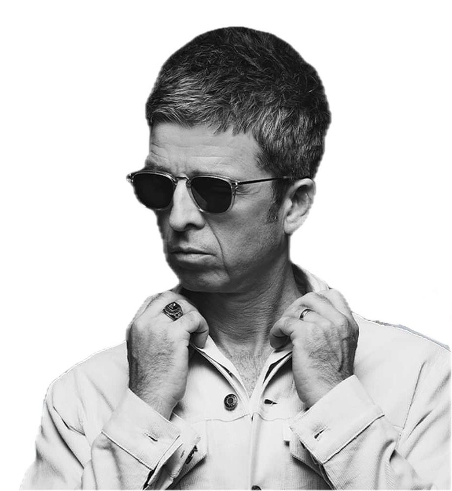 Noel Gallagher Oasis Recording and stage used plectrum display