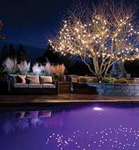 Spas — Swimming Pool And Tree With Lights in Reynoldsburg, OH