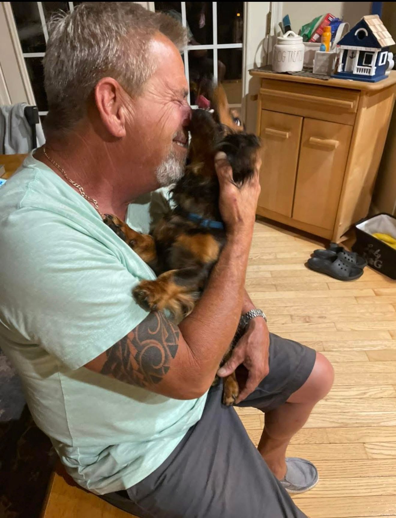 Cute Dog — Stephens City, VA — Professional Pet Trackers