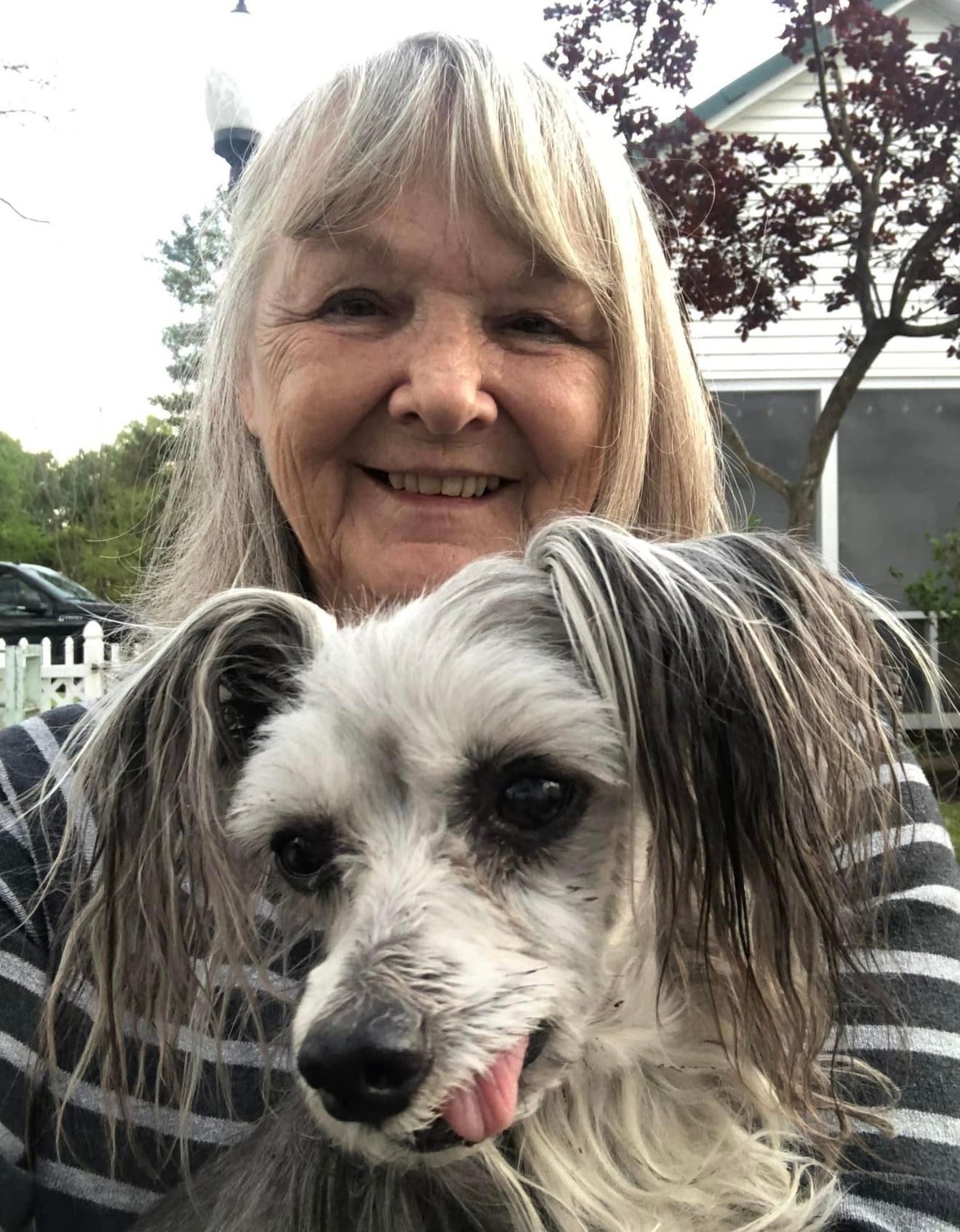 Woman Holding A Small Dog — Stephens City, VA — Professional Pet Trackers