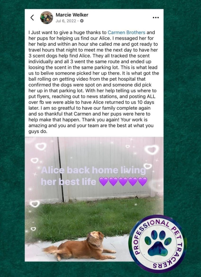 Review Fifteen — Stephens City, VA — Professional Pet Trackers