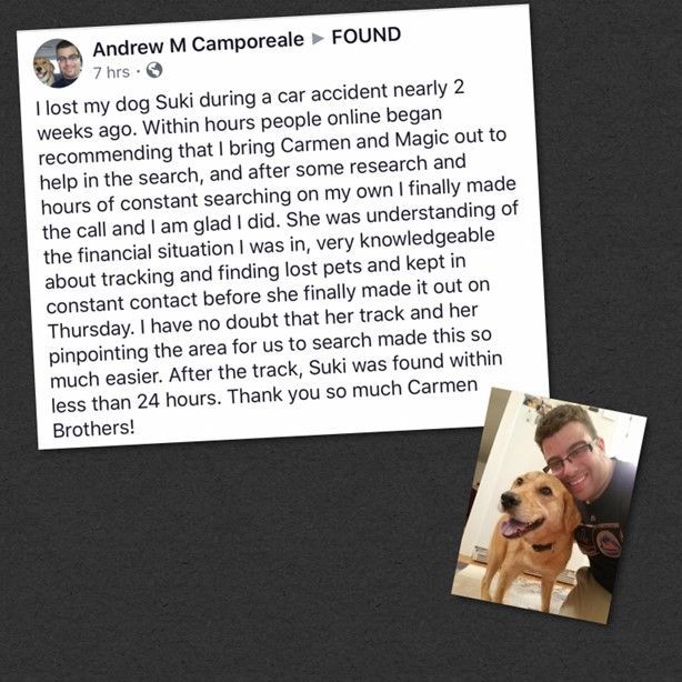 Review Ten — Stephens City, VA — Professional Pet Trackers