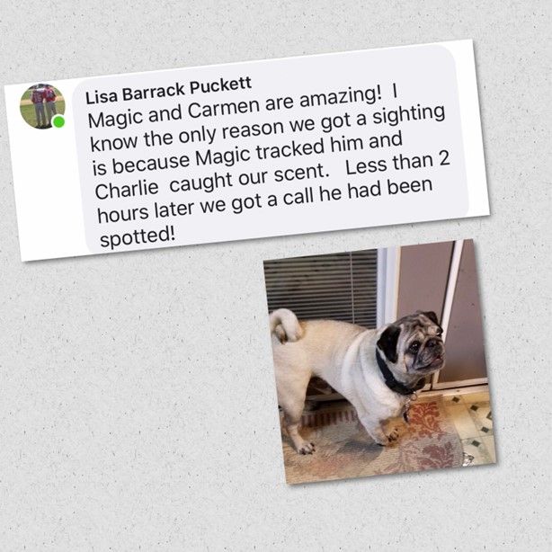 Review Eight — Stephens City, VA — Professional Pet Trackers